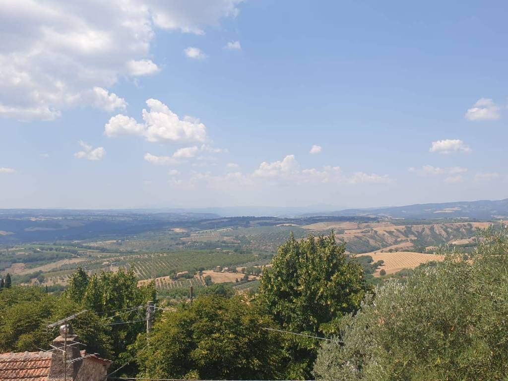 casa indipendente in vendita a Montecchio