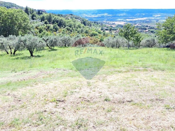 terreno agricolo in vendita a Montecchio