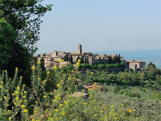appartamento in vendita a Montecchio
