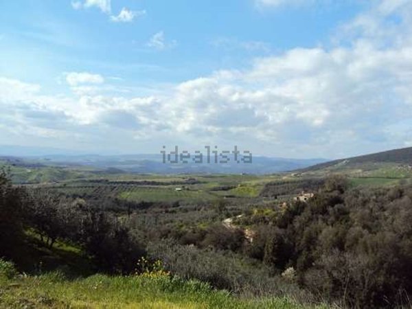 locale di sgombero in vendita a Montecchio