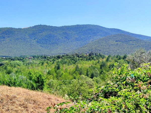 terreno edificabile in vendita a Montecchio