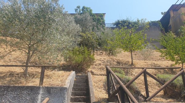 esavano in vendita a Montecchio