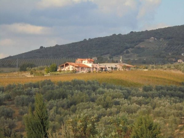 casa indipendente in vendita a Montecchio