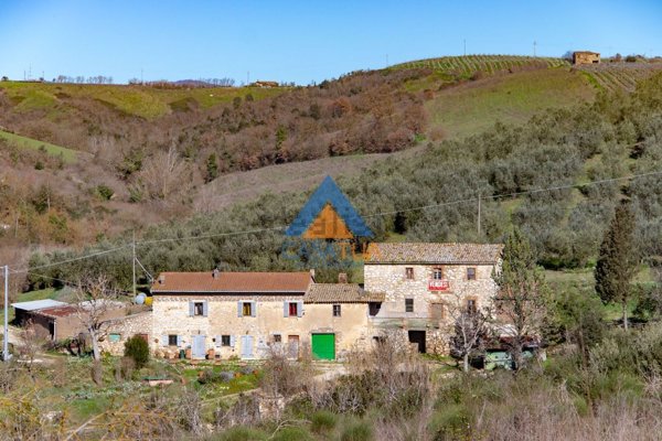 casale in vendita a Montecchio