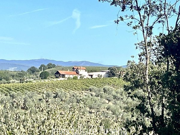 negozio in vendita a Montecchio