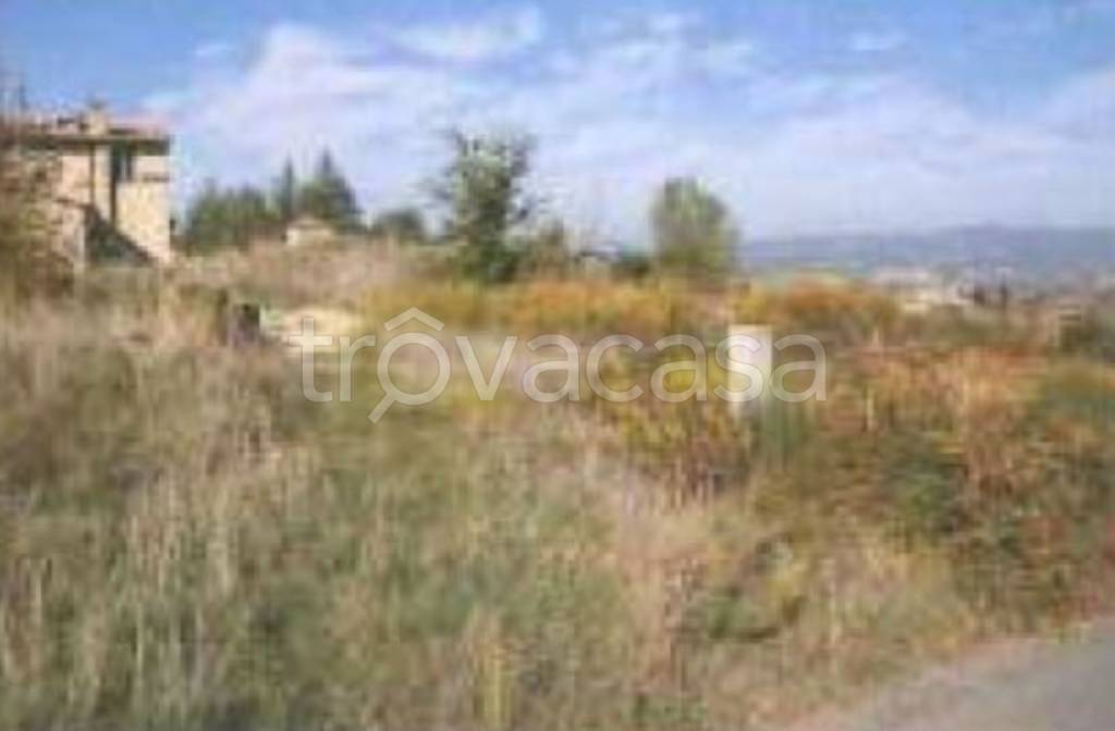 locale commerciale in vendita a Montecchio in zona Tenaglie