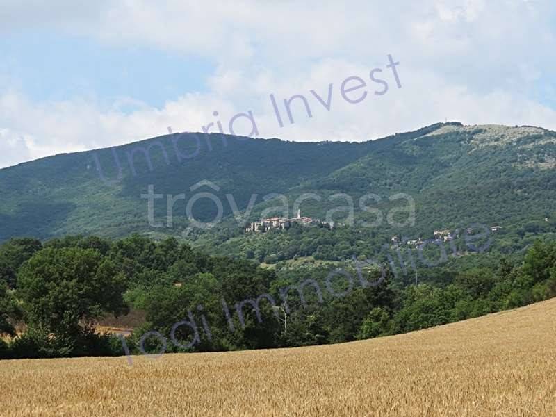 casa indipendente in vendita a Montecchio in zona Melezzole