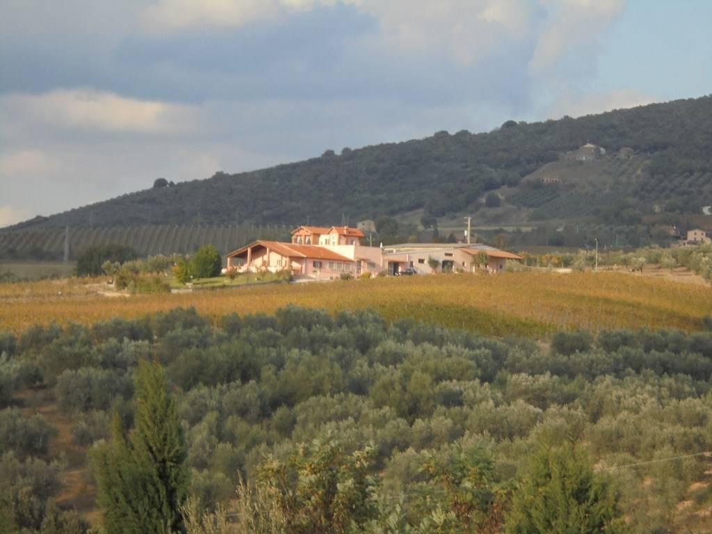 negozio in vendita a Montecchio
