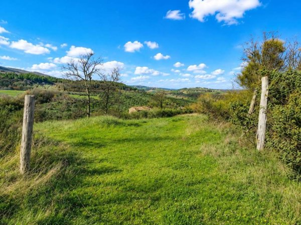 casa indipendente in vendita a Montecchio in zona Melezzole