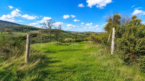 quadrivano in vendita a Montecchio in zona Melezzole