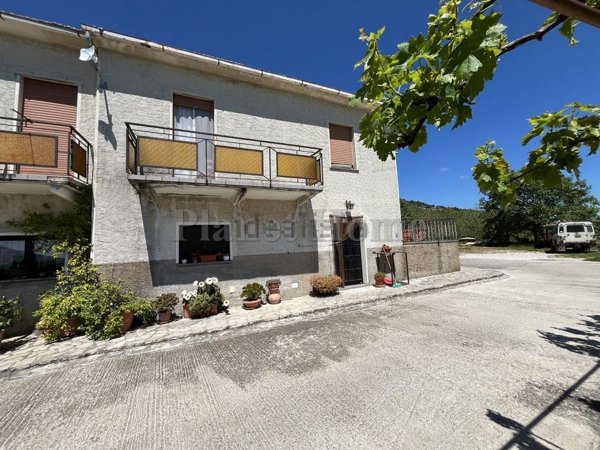 pentavano in vendita a Montecchio in zona Melezzole