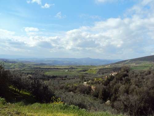 locale di sgombero in vendita a Montecchio in zona San Rocco