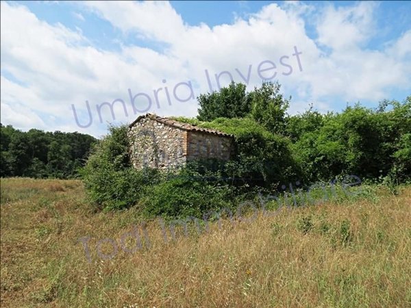 appartamento in vendita a Montecchio in zona Melezzole