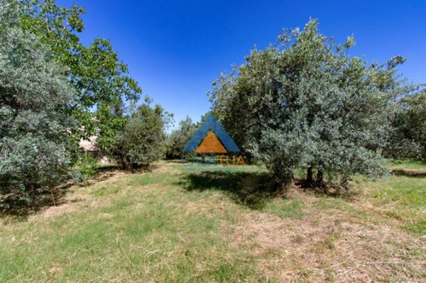 terreno agricolo in vendita a Montecchio