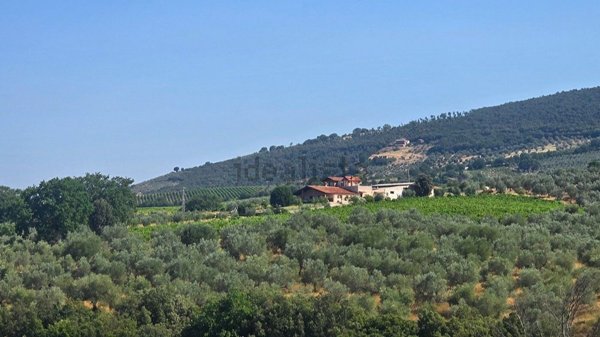 casale in vendita a Montecchio