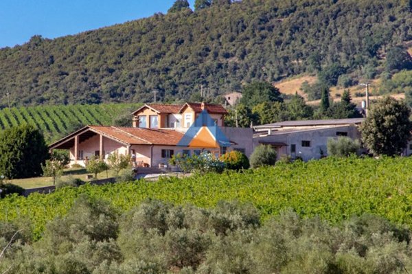 casa indipendente in vendita a Montecchio