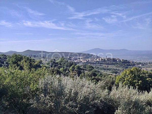 terreno agricolo in vendita a Montecchio