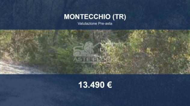 terreno agricolo in vendita a Montecchio in zona San Rocco