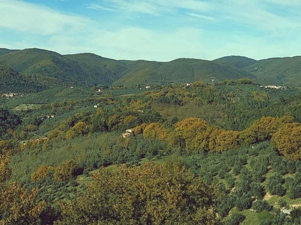 casa indipendente in vendita a Montefranco