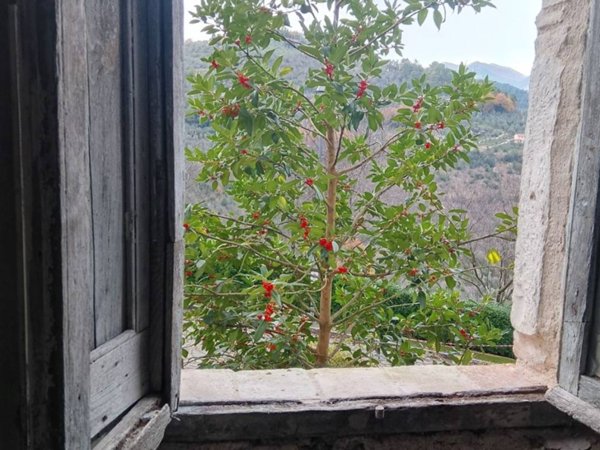 appartamento in vendita a Montefranco