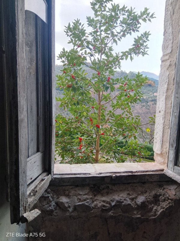 appartamento in vendita a Montefranco