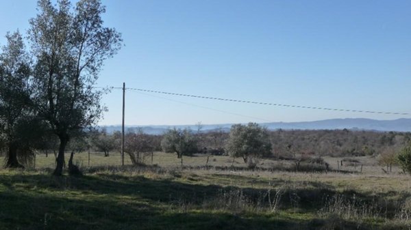 azienda agricola in vendita a Montegabbione