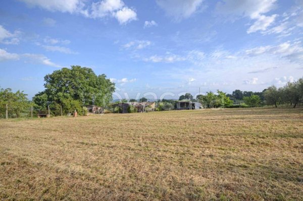 terreno agricolo in vendita a Montegabbione in zona Faiolo