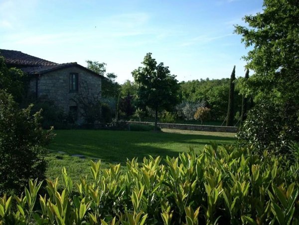 casa indipendente in vendita a Montegabbione