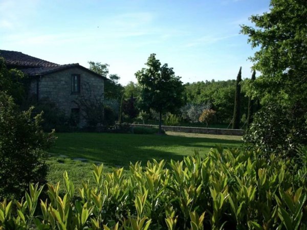 casa indipendente in vendita a Montegabbione