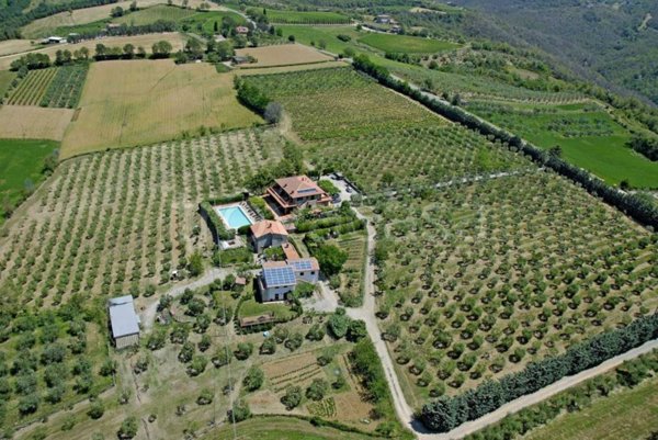 casa indipendente in vendita a Montegabbione in zona Faiolo