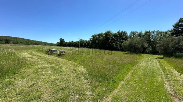 casa indipendente in vendita a Montegabbione