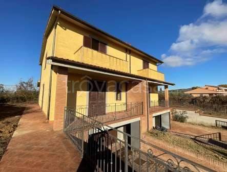 casa indipendente in vendita a Montegabbione in zona Faiolo