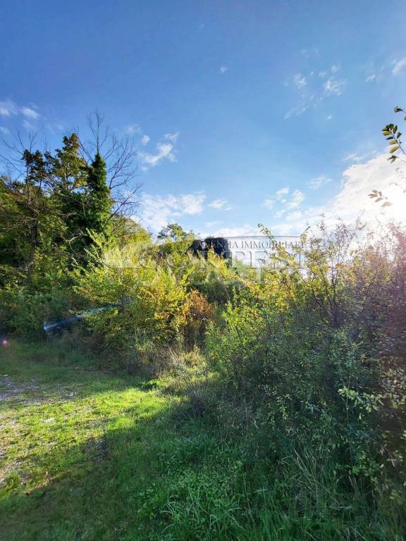 terreno agricolo in vendita a Monteleone d'Orvieto in zona Colle