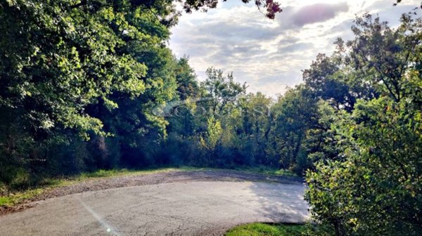 terreno agricolo in vendita a Monteleone d'Orvieto in zona Colle