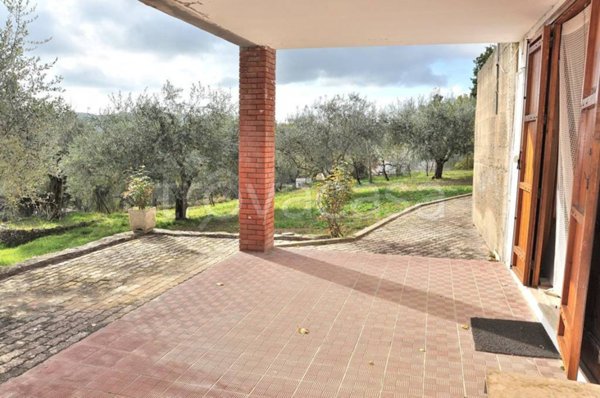 casa indipendente in vendita a Monteleone d'Orvieto in zona Colle