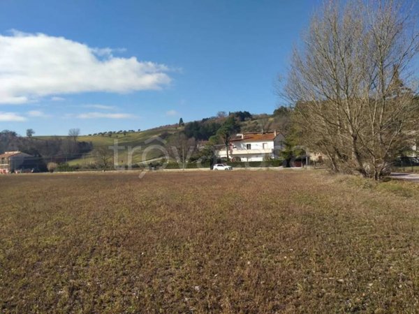 terreno agricolo in vendita a Monteleone d'Orvieto in zona Colle