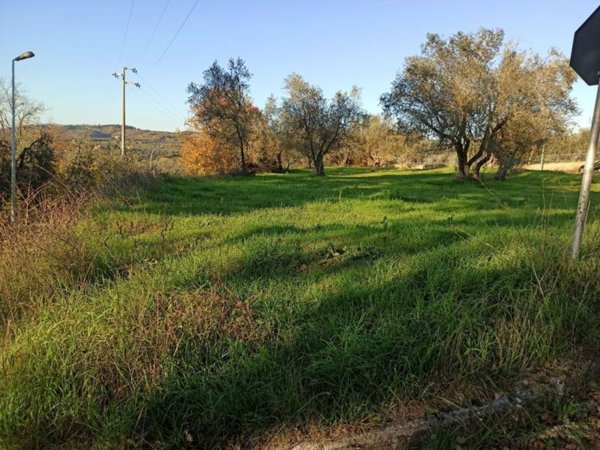 terreno edificabile in vendita a Monteleone d'Orvieto in zona Colle
