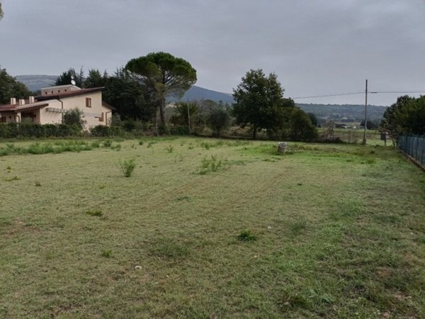 terreno edificabile in vendita a Monteleone d'Orvieto in zona Colle