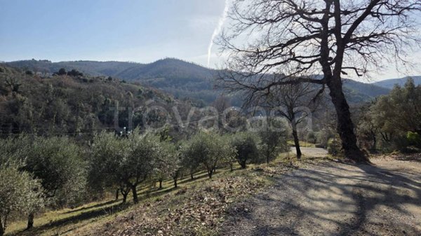 terreno agricolo in vendita a Monteleone d'Orvieto in zona Colle