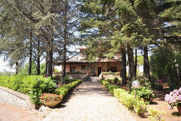 immagine annuncio 0 di 1