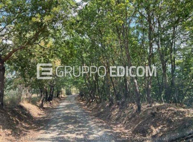 terreno agricolo in vendita a Monteleone d'Orvieto