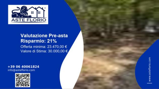 terreno agricolo in vendita a Monteleone d'Orvieto