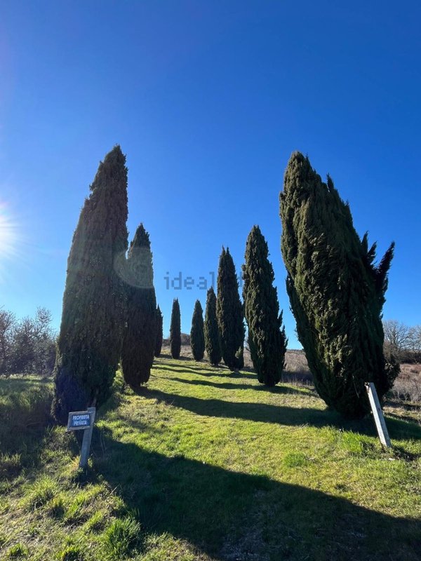 casa indipendente in vendita a Monteleone d'Orvieto in zona Santa Maria
