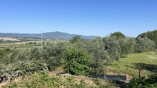 casa semindipendente in vendita a Monteleone d'Orvieto