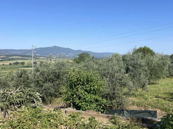 casa indipendente in vendita a Monteleone d'Orvieto