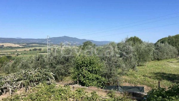 casa indipendente in vendita a Monteleone d'Orvieto in zona Colle