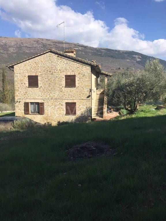 casa indipendente in vendita a Monteleone d'Orvieto in zona Colle