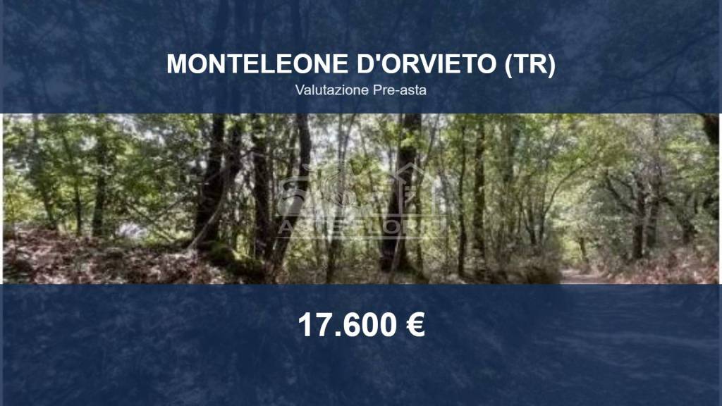 terreno agricolo in vendita a Monteleone d'Orvieto