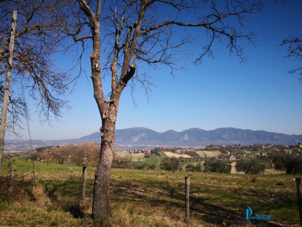 appartamento in vendita a Narni