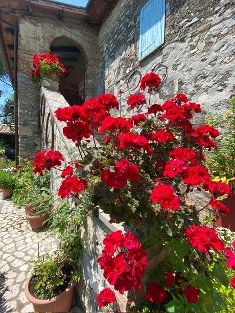 casa indipendente in vendita a Narni